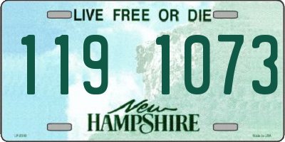 NH license plate 1191073