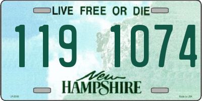 NH license plate 1191074
