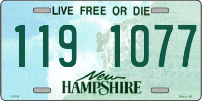 NH license plate 1191077