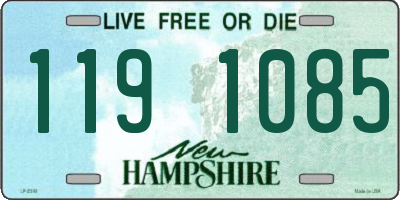 NH license plate 1191085