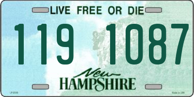 NH license plate 1191087