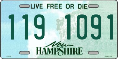 NH license plate 1191091