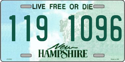 NH license plate 1191096