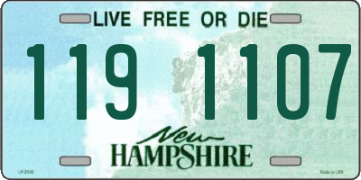 NH license plate 1191107