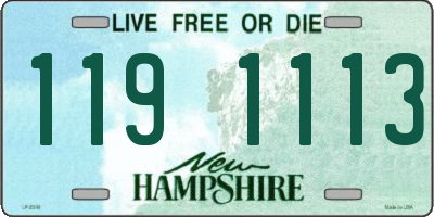 NH license plate 1191113