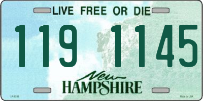 NH license plate 1191145
