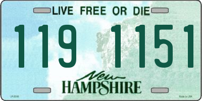 NH license plate 1191151