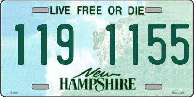 NH license plate 1191155