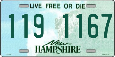 NH license plate 1191167