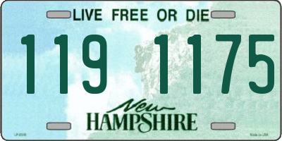 NH license plate 1191175