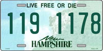 NH license plate 1191178