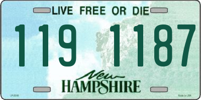 NH license plate 1191187