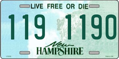 NH license plate 1191190