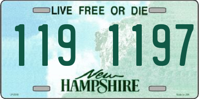 NH license plate 1191197