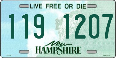 NH license plate 1191207