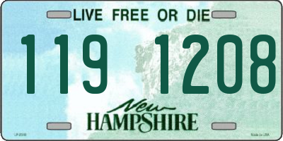 NH license plate 1191208