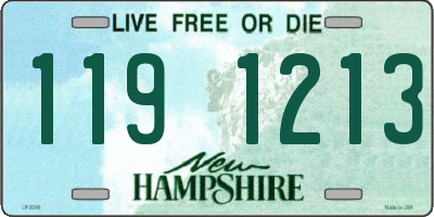 NH license plate 1191213