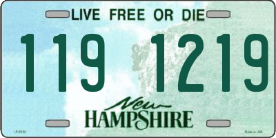 NH license plate 1191219