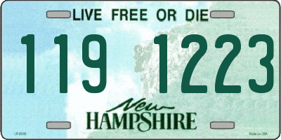 NH license plate 1191223