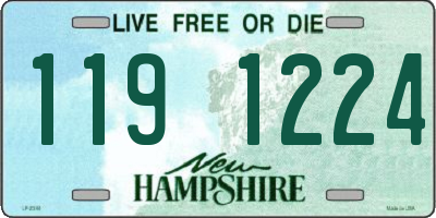 NH license plate 1191224