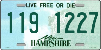 NH license plate 1191227