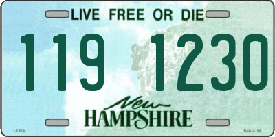 NH license plate 1191230