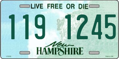 NH license plate 1191245