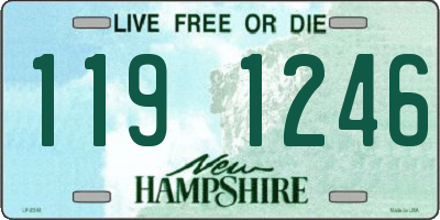 NH license plate 1191246
