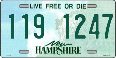 NH license plate 1191247