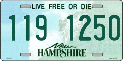 NH license plate 1191250