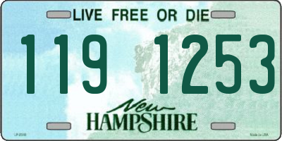 NH license plate 1191253
