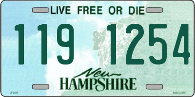 NH license plate 1191254