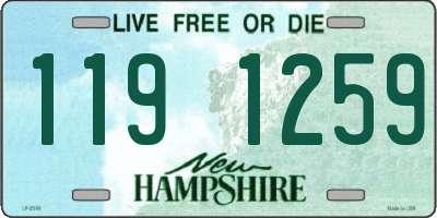 NH license plate 1191259