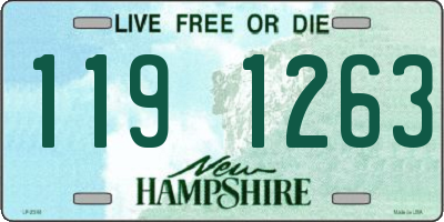 NH license plate 1191263