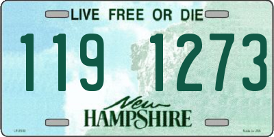 NH license plate 1191273