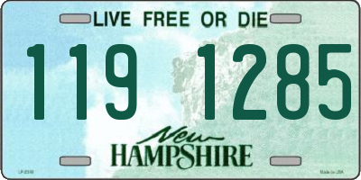 NH license plate 1191285