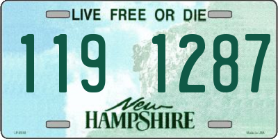 NH license plate 1191287