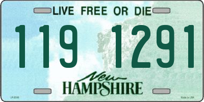 NH license plate 1191291