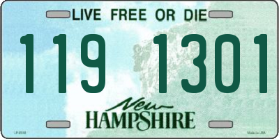 NH license plate 1191301