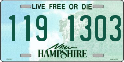 NH license plate 1191303