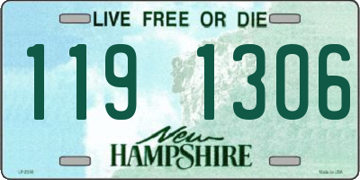 NH license plate 1191306