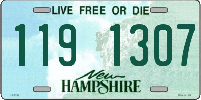 NH license plate 1191307