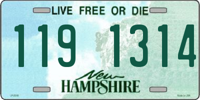 NH license plate 1191314