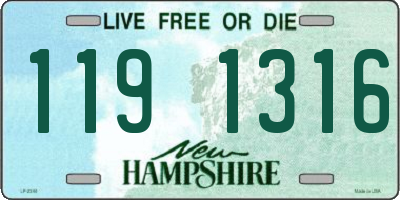 NH license plate 1191316