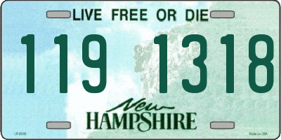 NH license plate 1191318