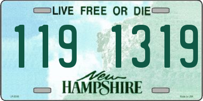 NH license plate 1191319