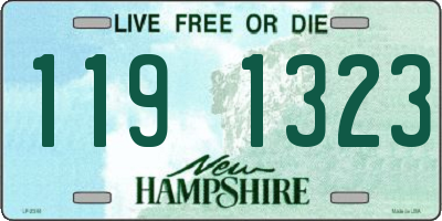 NH license plate 1191323