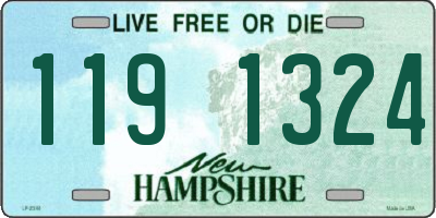 NH license plate 1191324