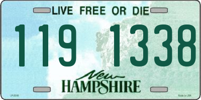 NH license plate 1191338