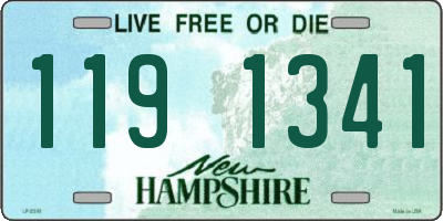 NH license plate 1191341